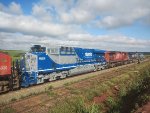 RUMO 9598